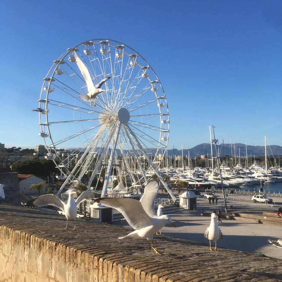 Tortue de Mer Antibes Eksteriør bilde